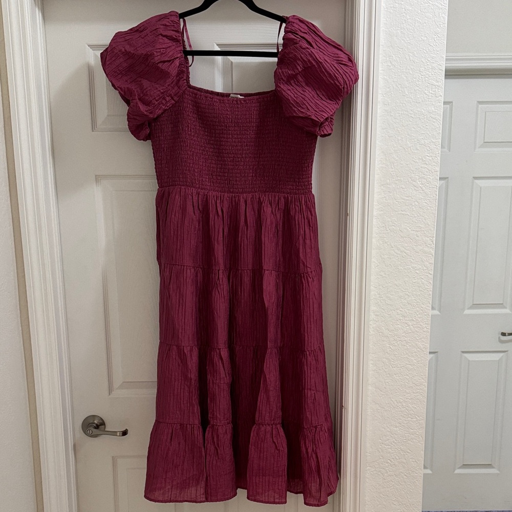 Francesca's Collections Rich Burgundy Dress